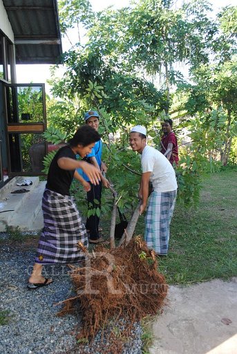 DSC_0460 Copy.JPG